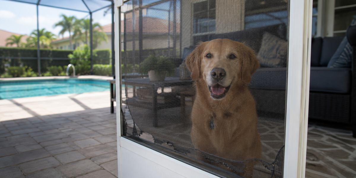 Pet Damaged Screen Enclosure Repairs